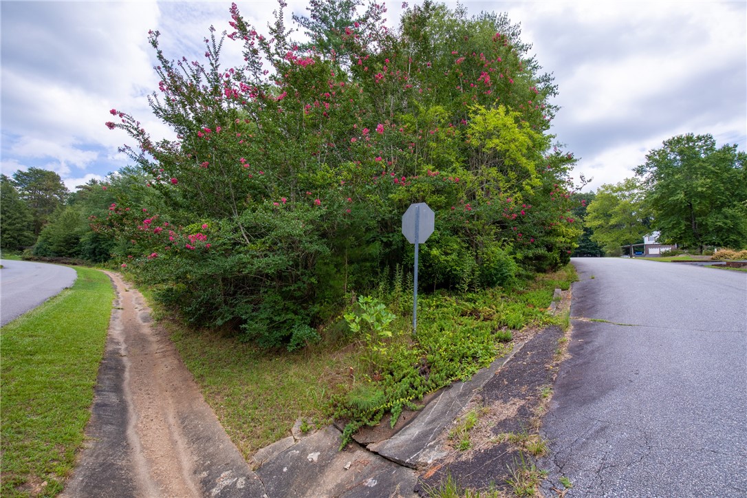 647 Bethlehem School Road Pickens, SC 29671 - Photo 3 of 26