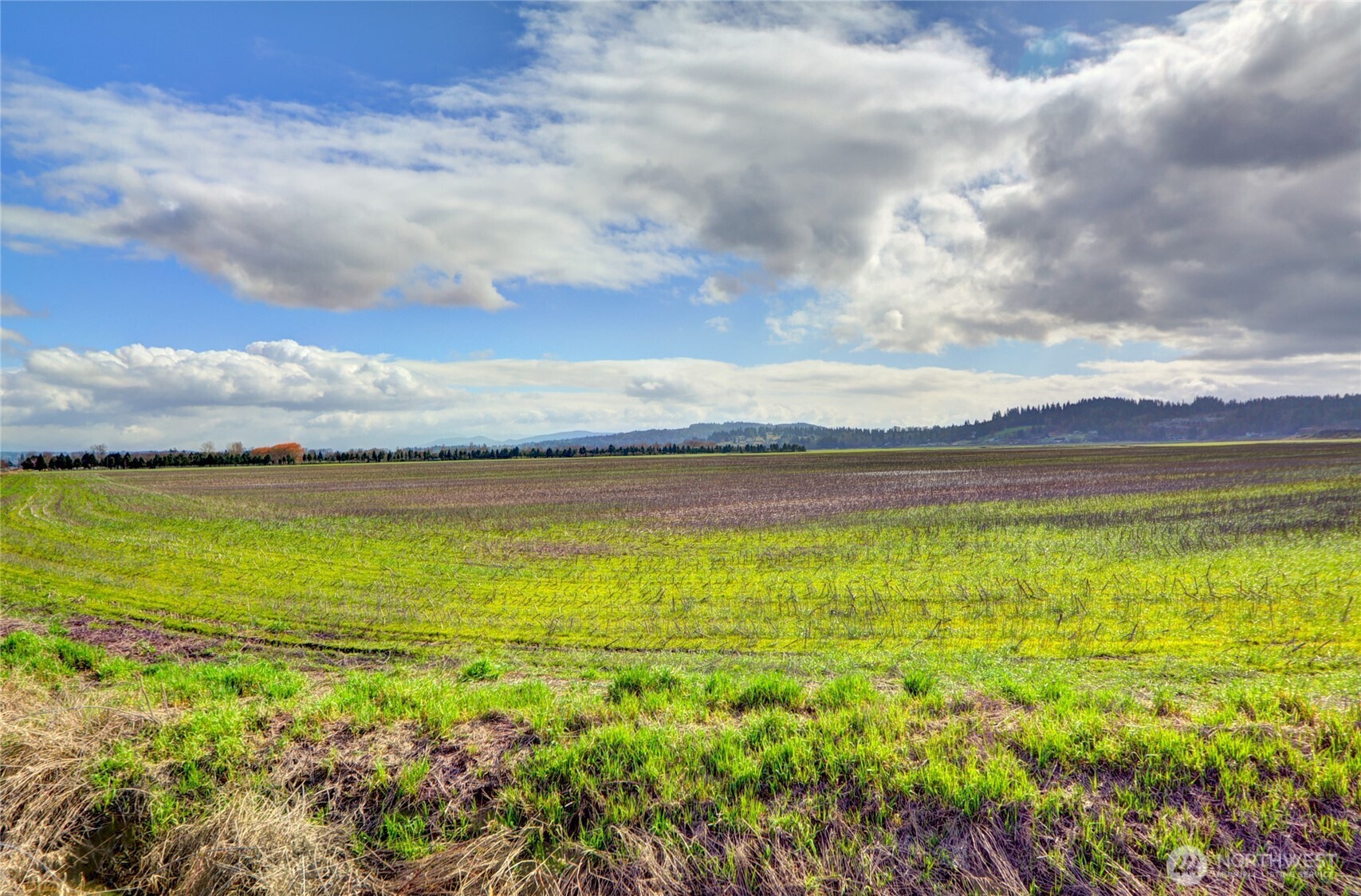 6910 Marsh Road Snohomish, WA 98296 - Photo 5 of 9