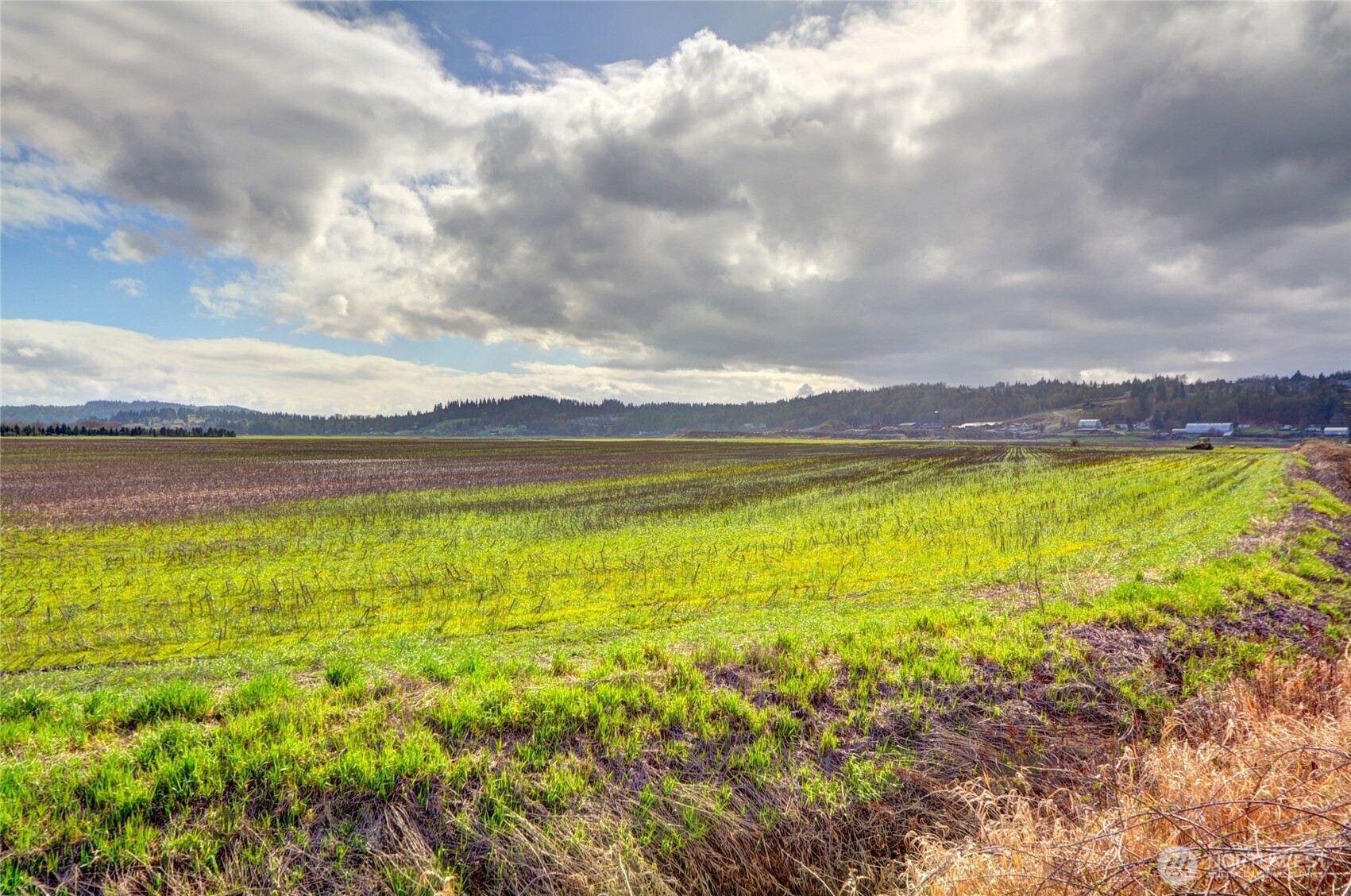 6910 Marsh Road Snohomish, WA 98296 - Photo 6 of 9