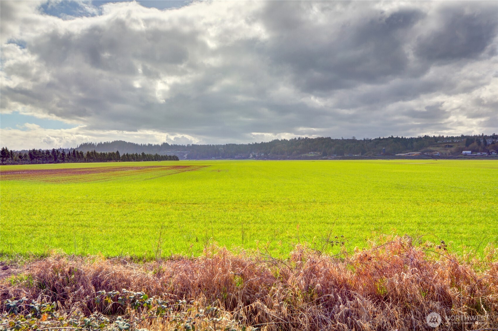 6910 Marsh Road Snohomish, WA 98296 - Photo 8 of 9