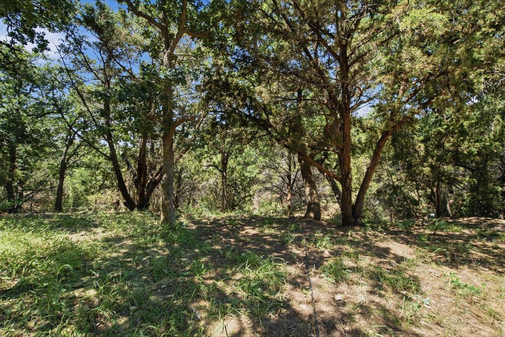 223 Cottongame Road Weatherford, TX 76088 - Photo 35 of 39
