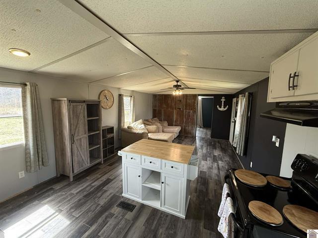 2519 Wickliffe Road Wickliffe, KY 42087 - Photo 2 of 11 kitchen
