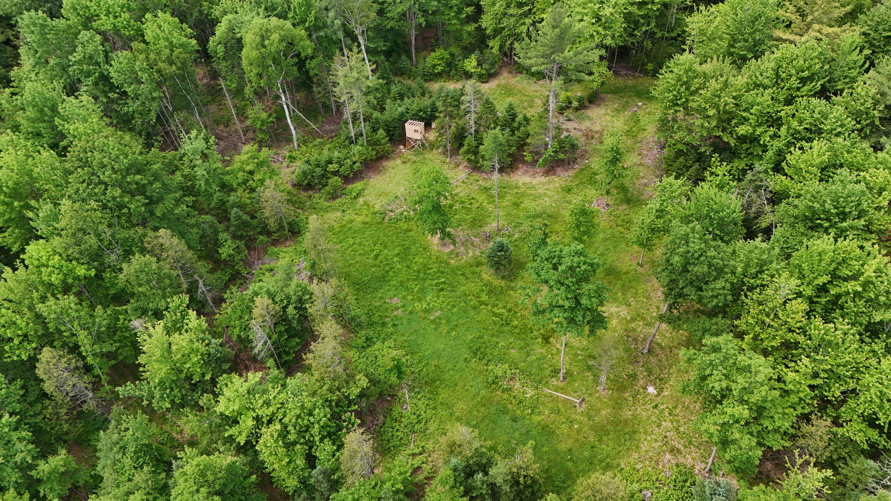 22 Back Parkman Road Abbot, ME 04406 - Photo 35 of 38