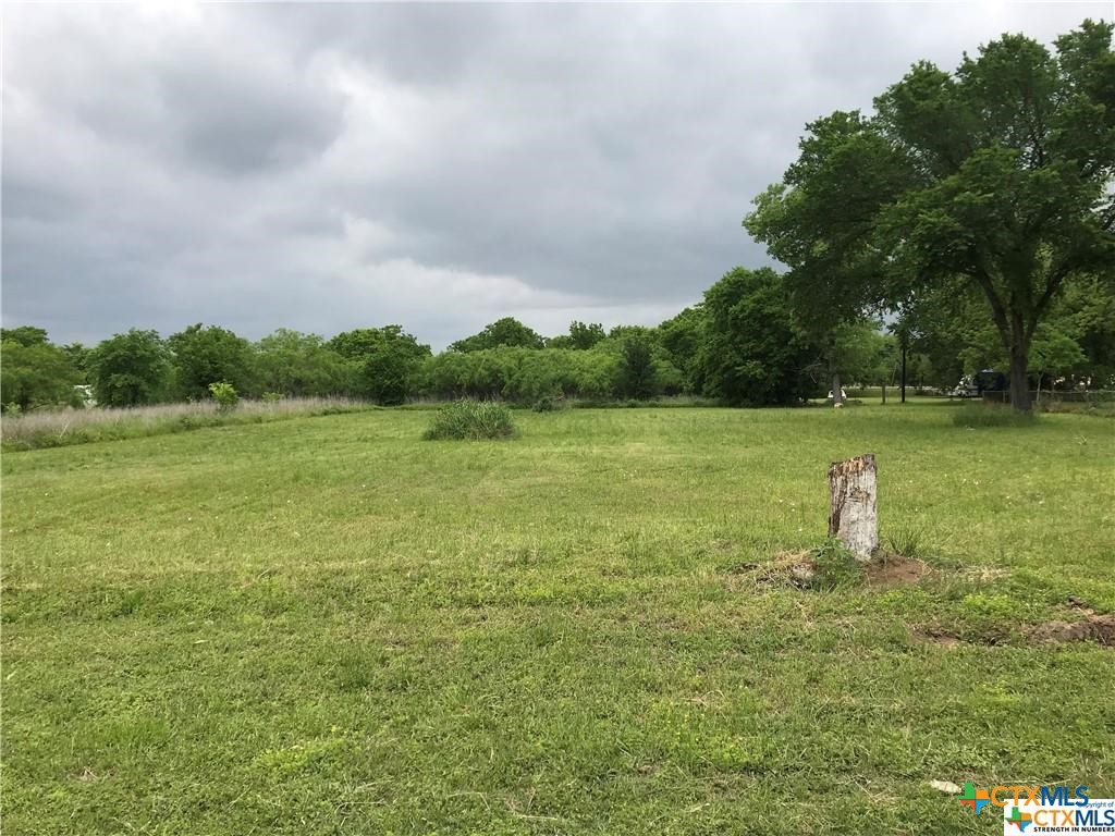 0 Austin Road Luling, TX 78648 - Photo 2 of 5 a fire hydrant in the middle of a field