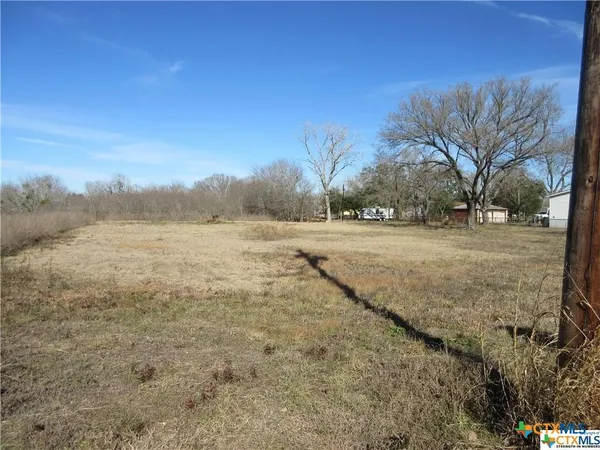a view of dirt yard with large trees