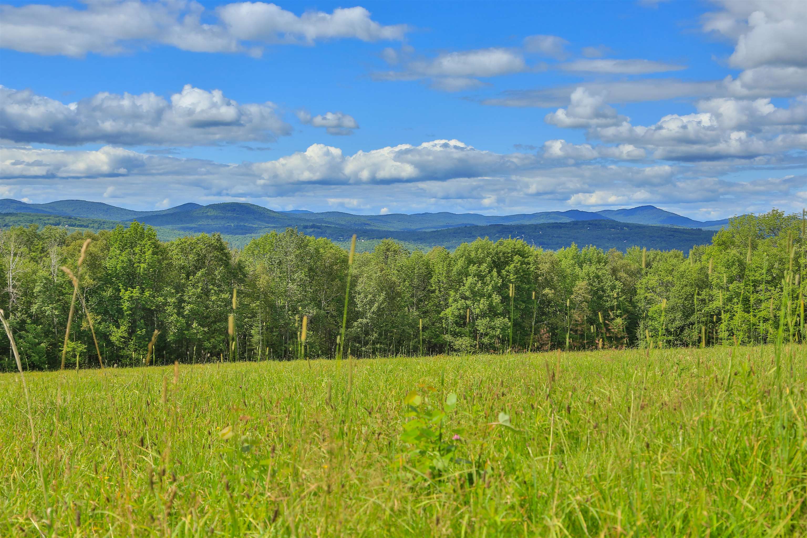 0 Big Hill Road Dalton, NH 03598 - Photo 1 of 35 Gallery Image 1