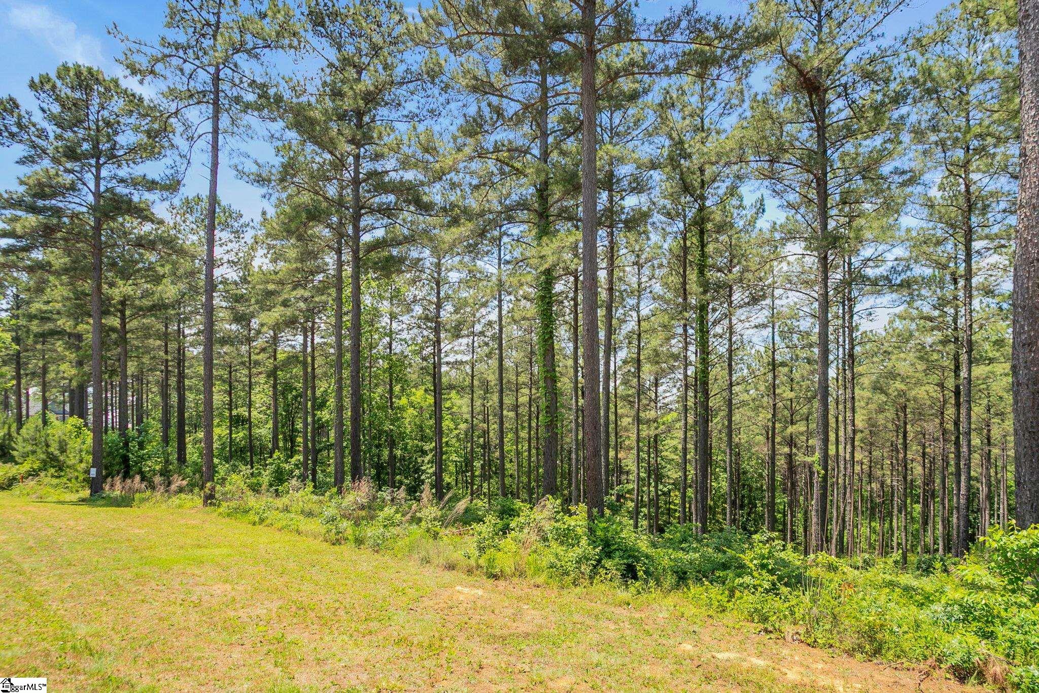 114 Highlands Ridge Road Salem, SC 29676 - Photo 6 of 14