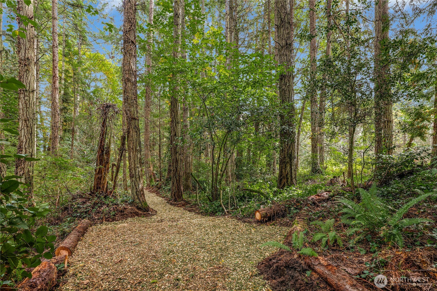 0 Northeast Lofgren (lot A) Road Bainbridge Island, WA 98110 - Photo 5 of 9 a view of backyard with green space
