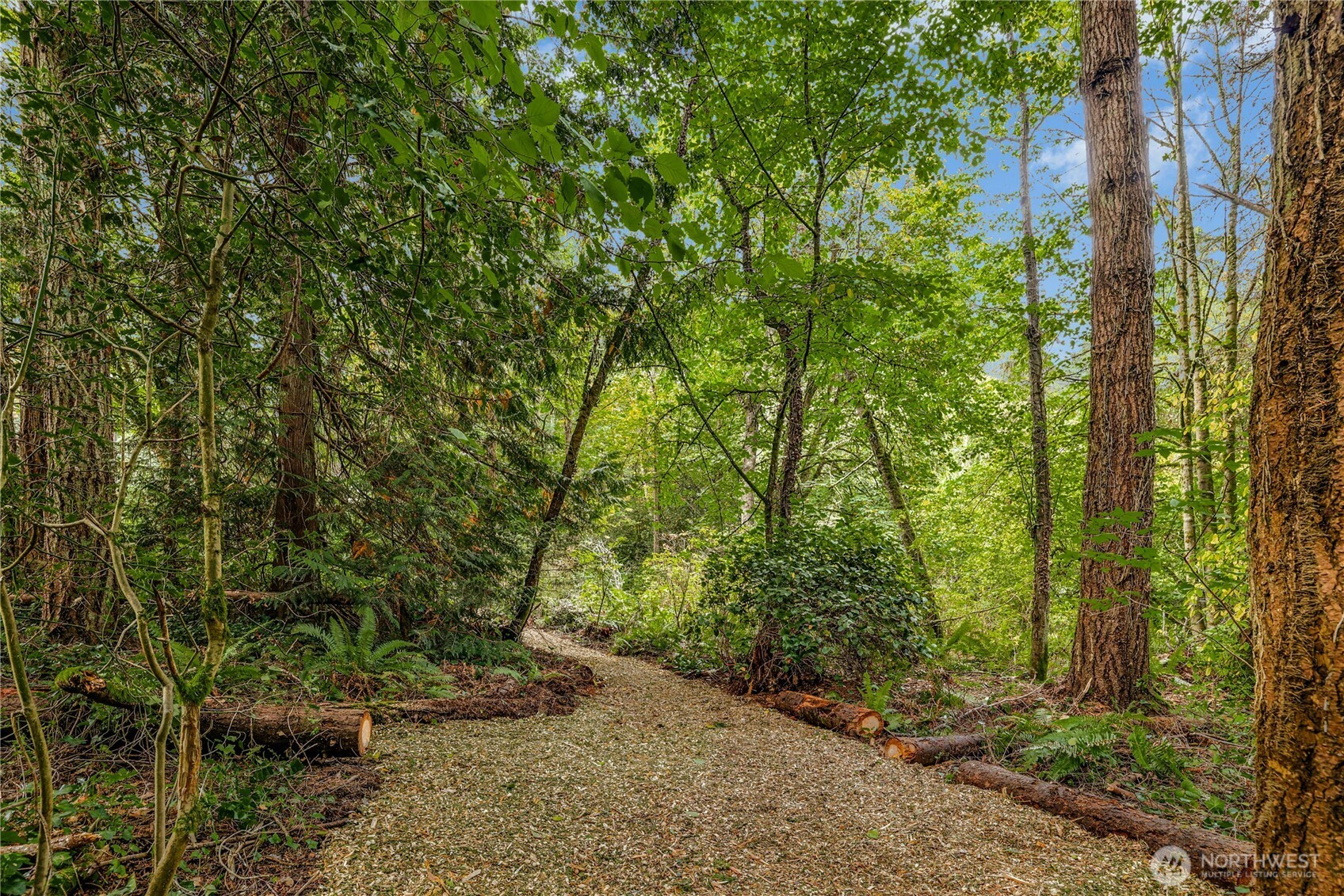 0 Northeast Lofgren (lot A) Road Bainbridge Island, WA 98110 - Photo 6 of 9 a big yard with lots of green space and a house
