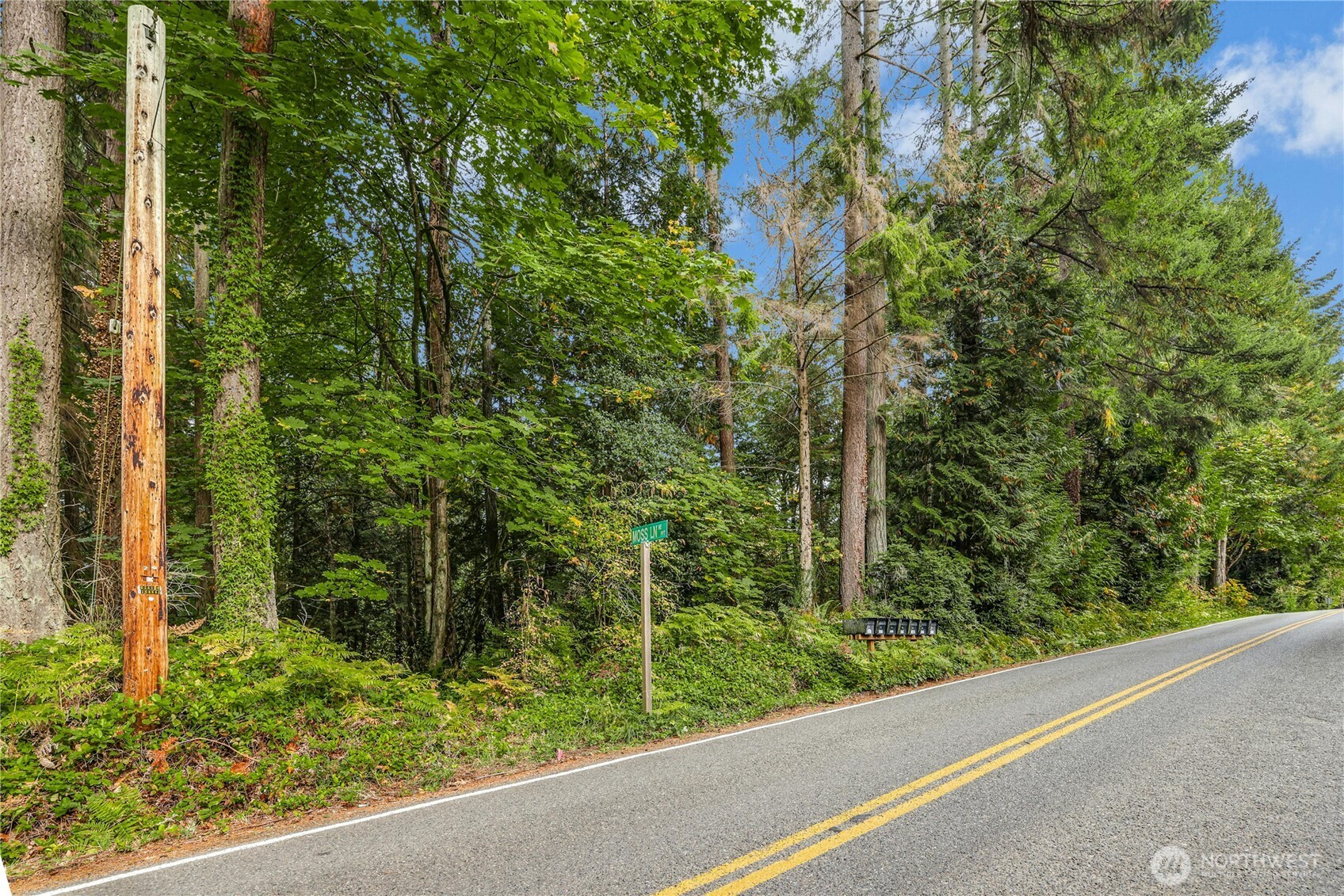 0 Northeast Lofgren (lot A) Road Bainbridge Island, WA 98110 - Photo 8 of 9 a view of a garden from a window
