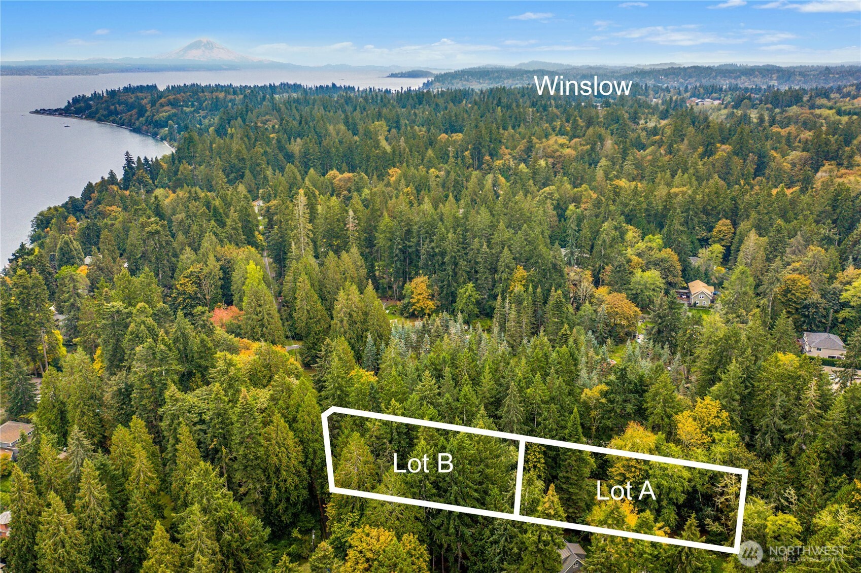0 Northeast Lofgren (lot A) Road Bainbridge Island, WA 98110 - Photo 9 of 9 a view of a green field with a mountain in the background