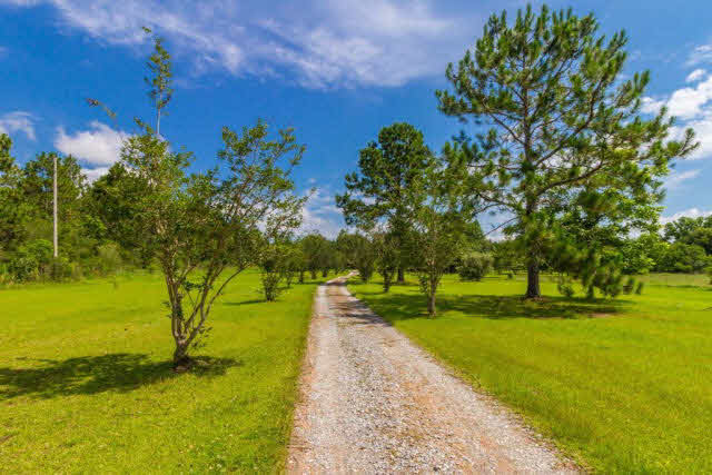29265 Leiterman Road Elberta, AL 36530 - Photo 24 of 40 Driveway/Acreage