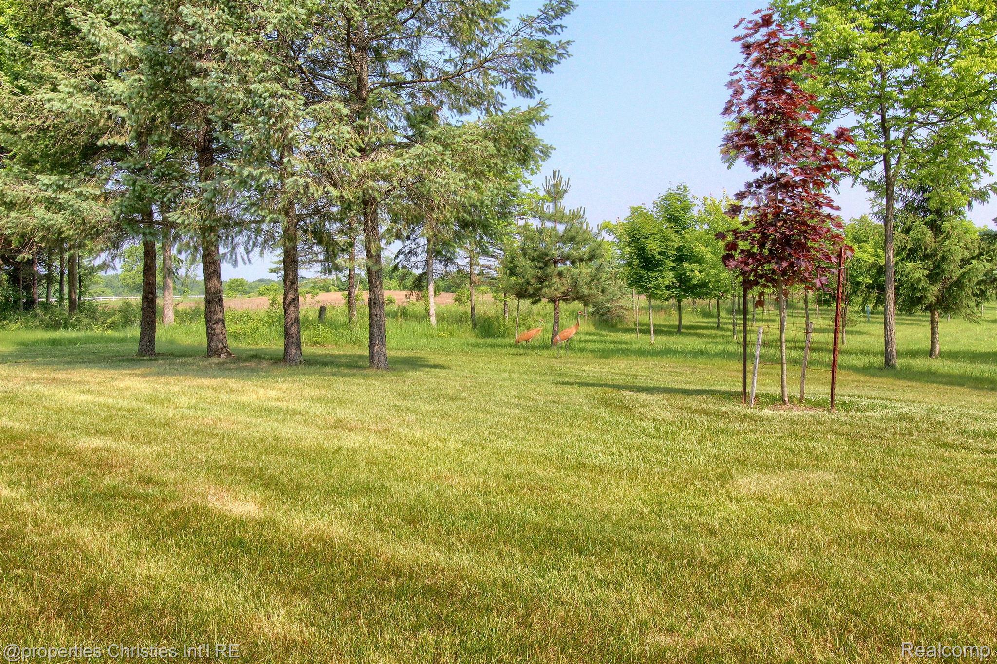 7875 7 Mile Road Northville, MI 48167 - Photo 54 of 67 Gallery Image 54