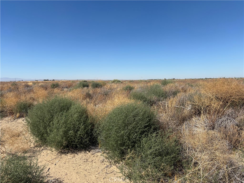 0 60th Lancaster, CA 93535 - Photo 6 of 7