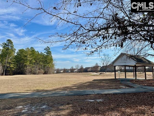 1279 Green Turf Lane Elgin, SC 29045 - Photo 45 of 45