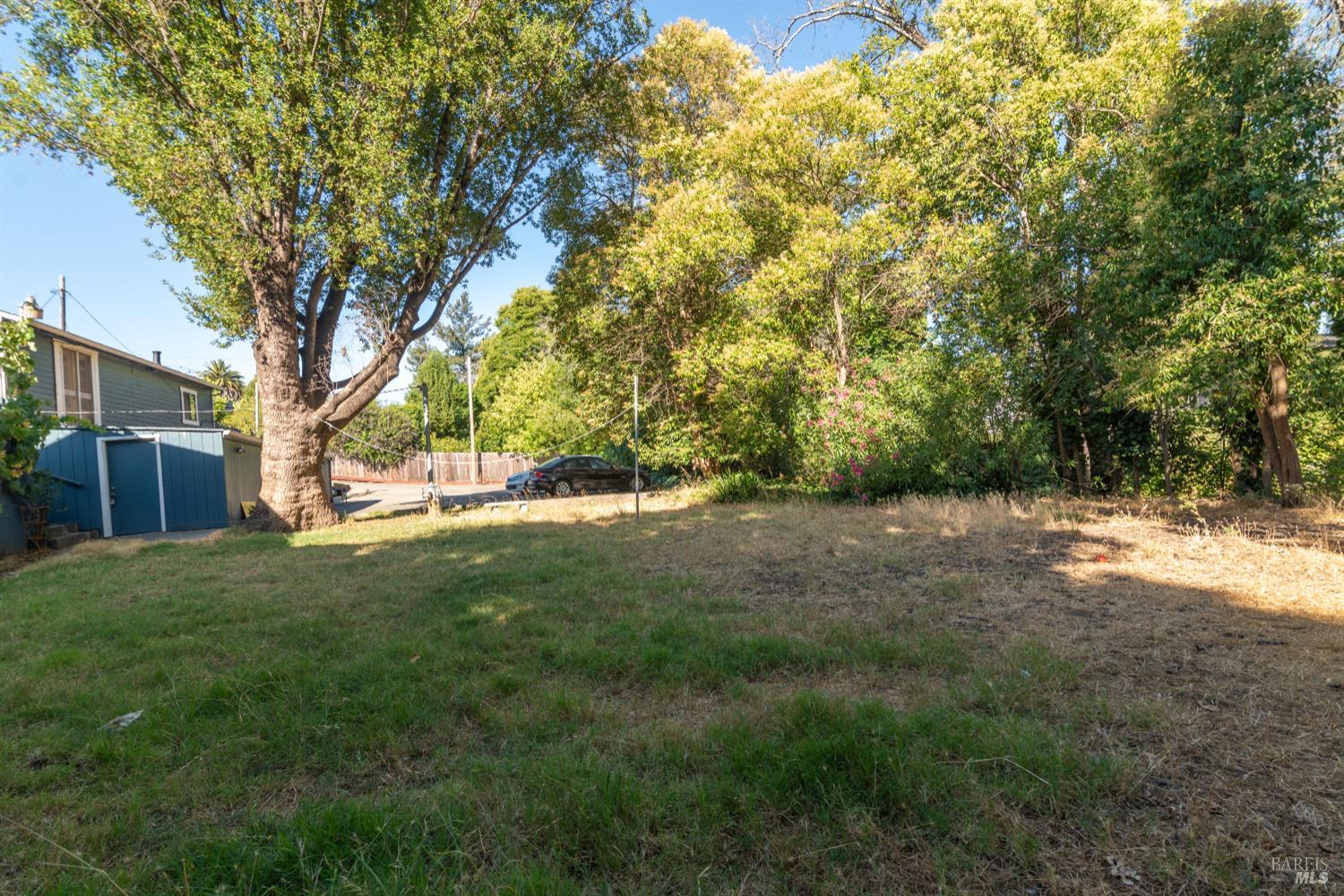 1852 4th Street Santa Rosa, CA 95404 - Photo 35 of 39 a view of a yard with a tree