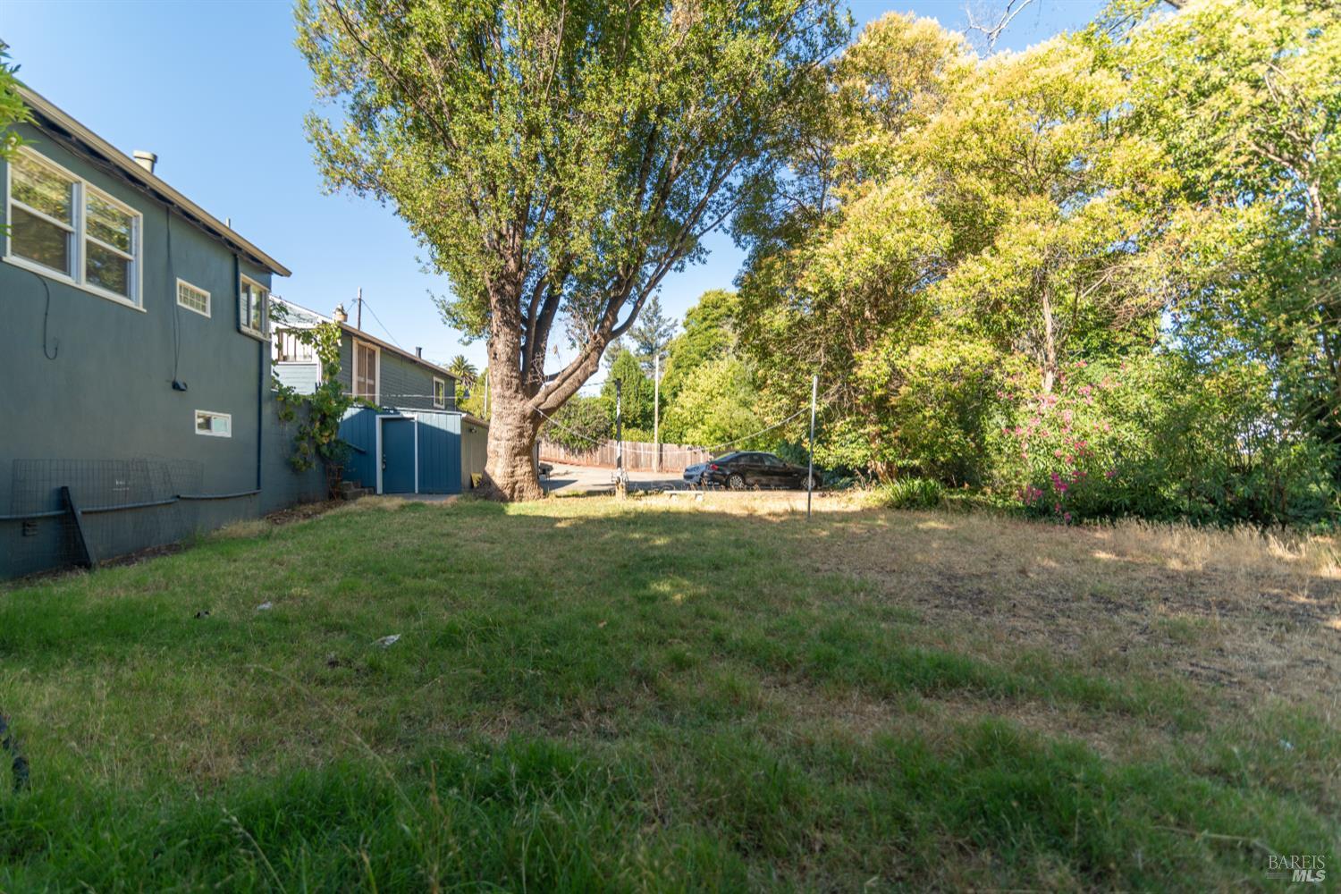 1852 4th Street Santa Rosa, CA 95404 - Photo 36 of 39 a view of a yard with plants and trees