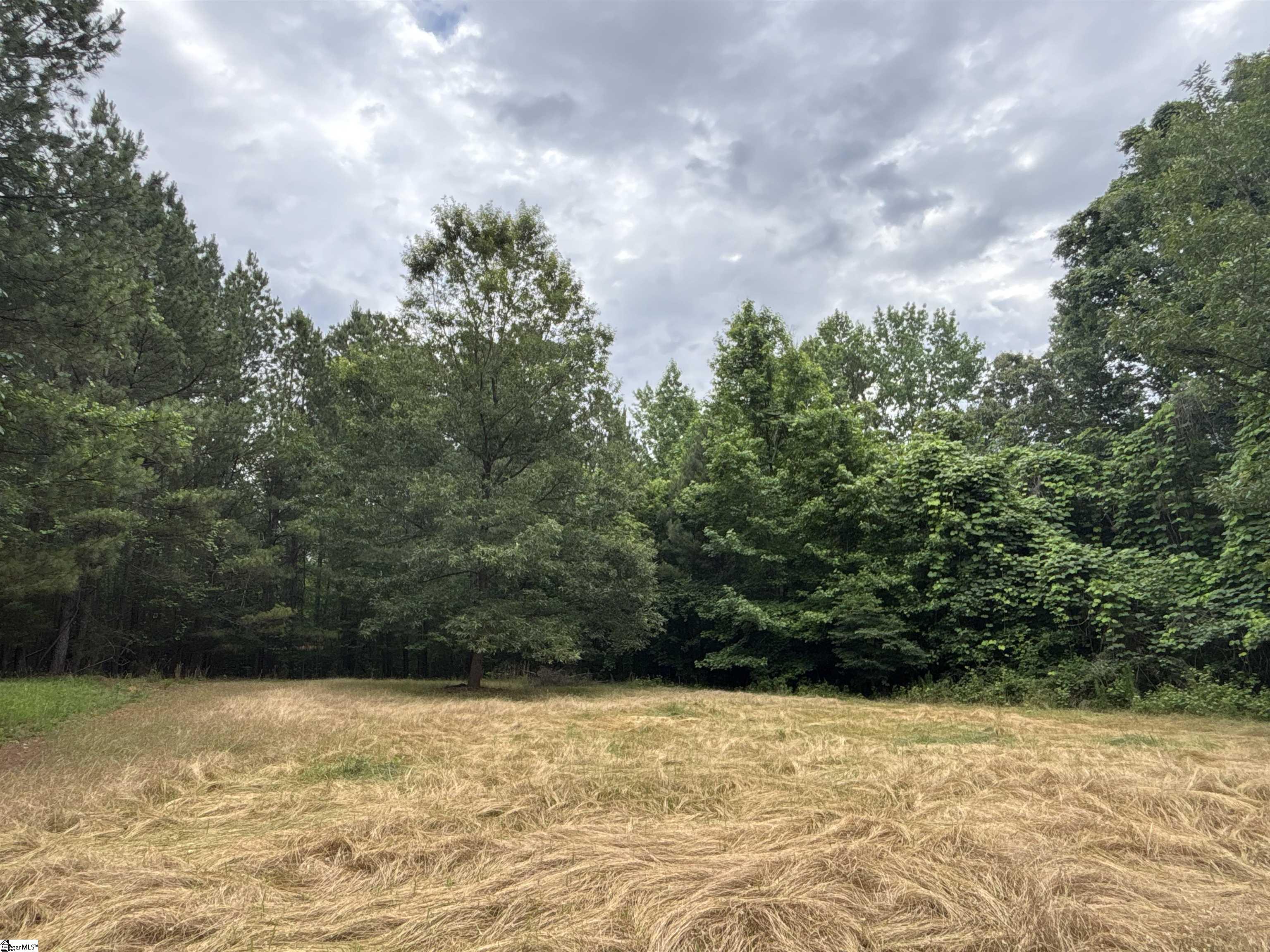 1087 Bobby Faucette Road Jonesville, SC 29353 - Photo 35 of 47