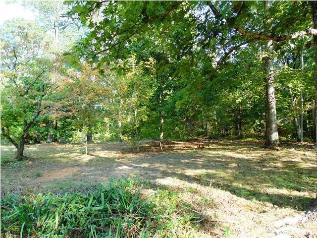 52 Carmack Road Flintstone, GA 30725 - Photo 21 of 26 Additional Photo