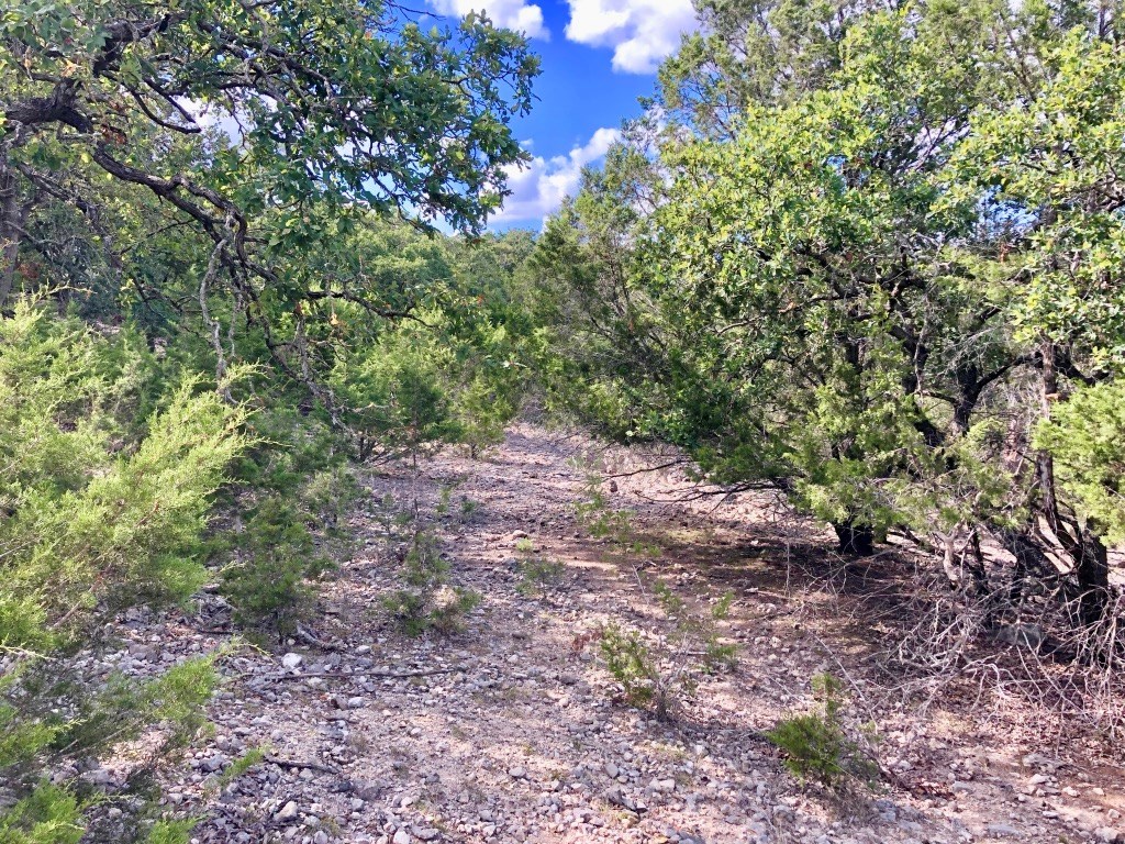 0 Ledge Stone Lane West Ingram, TX 78025 - Photo 13 of 33 HOA Wilderness Trail