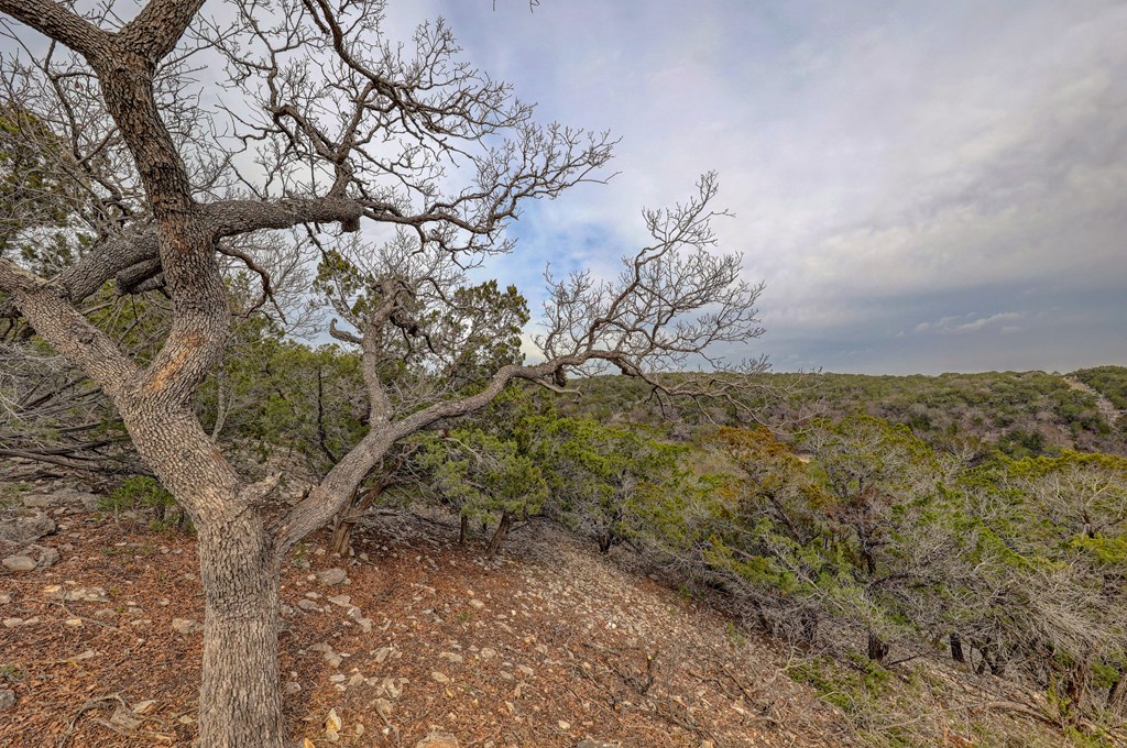 0 Ledge Stone Lane West Ingram, TX 78025 - Photo 19 of 33