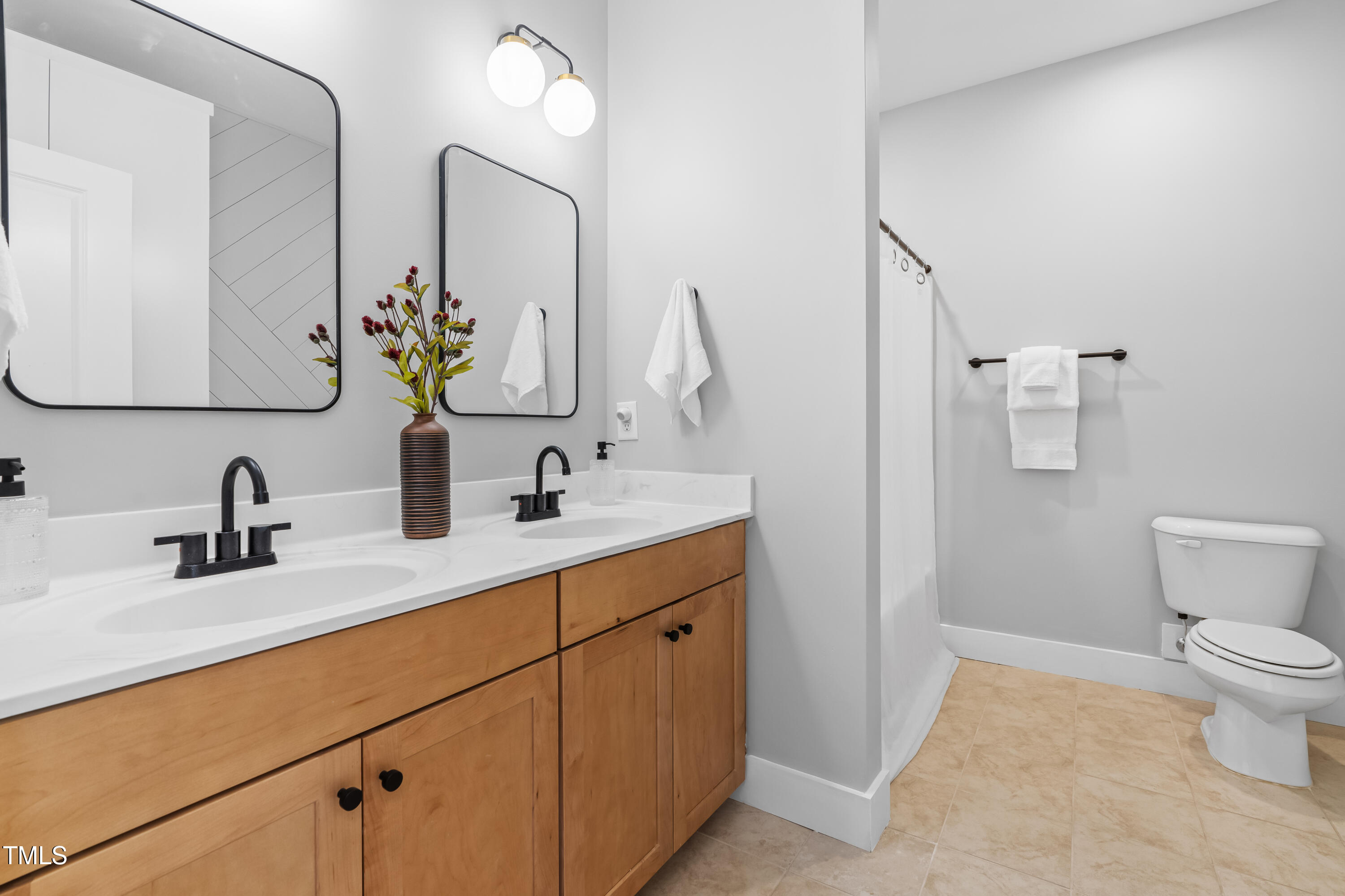 409 Tintern Lane Apex, NC 27523 - Photo 45 of 62 a bathroom with a sink and mirror with toilet