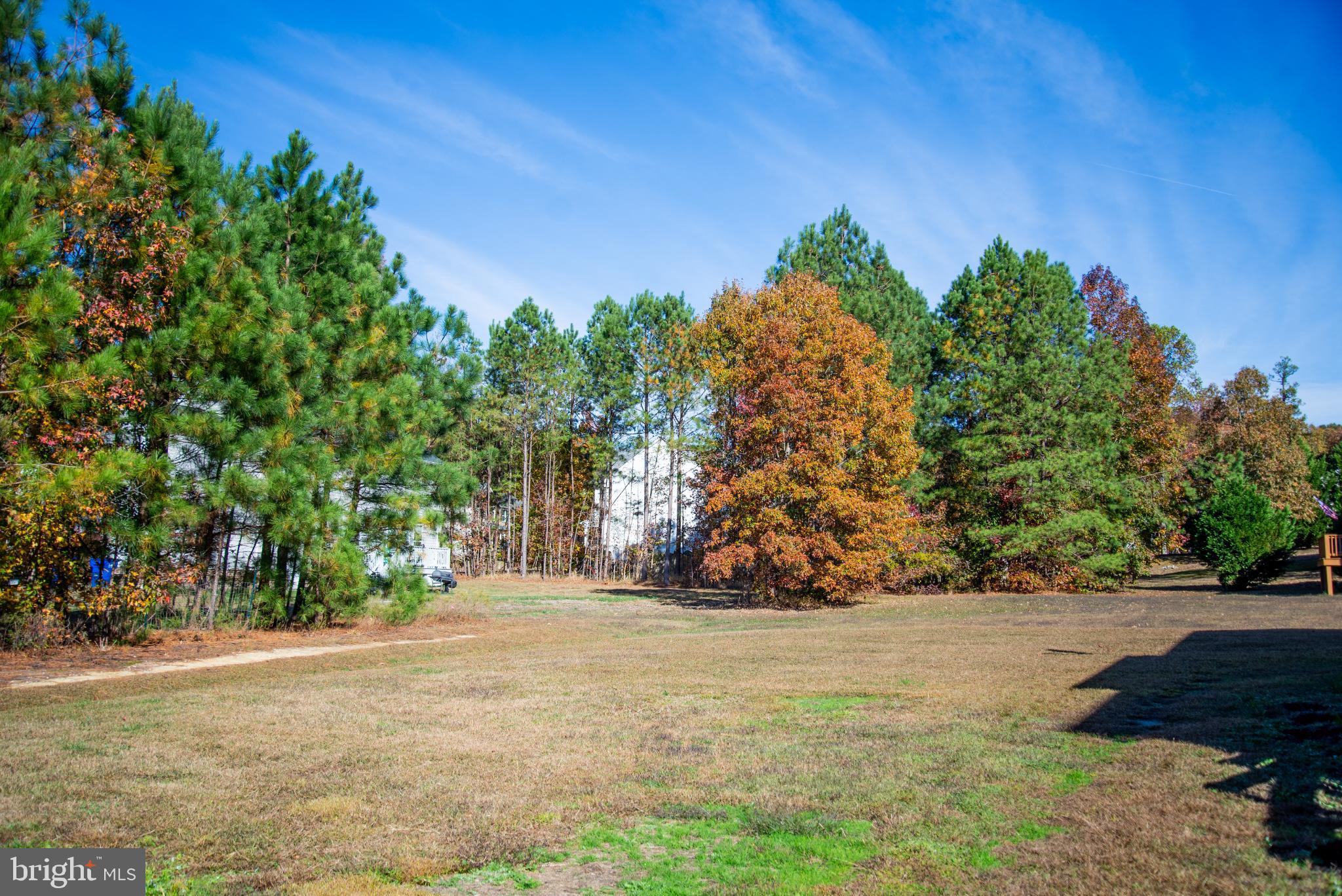15212 Fairen Lane Colonial Heights, VA 23834 - Photo 30 of 31 a view of a yard with an tree and plants