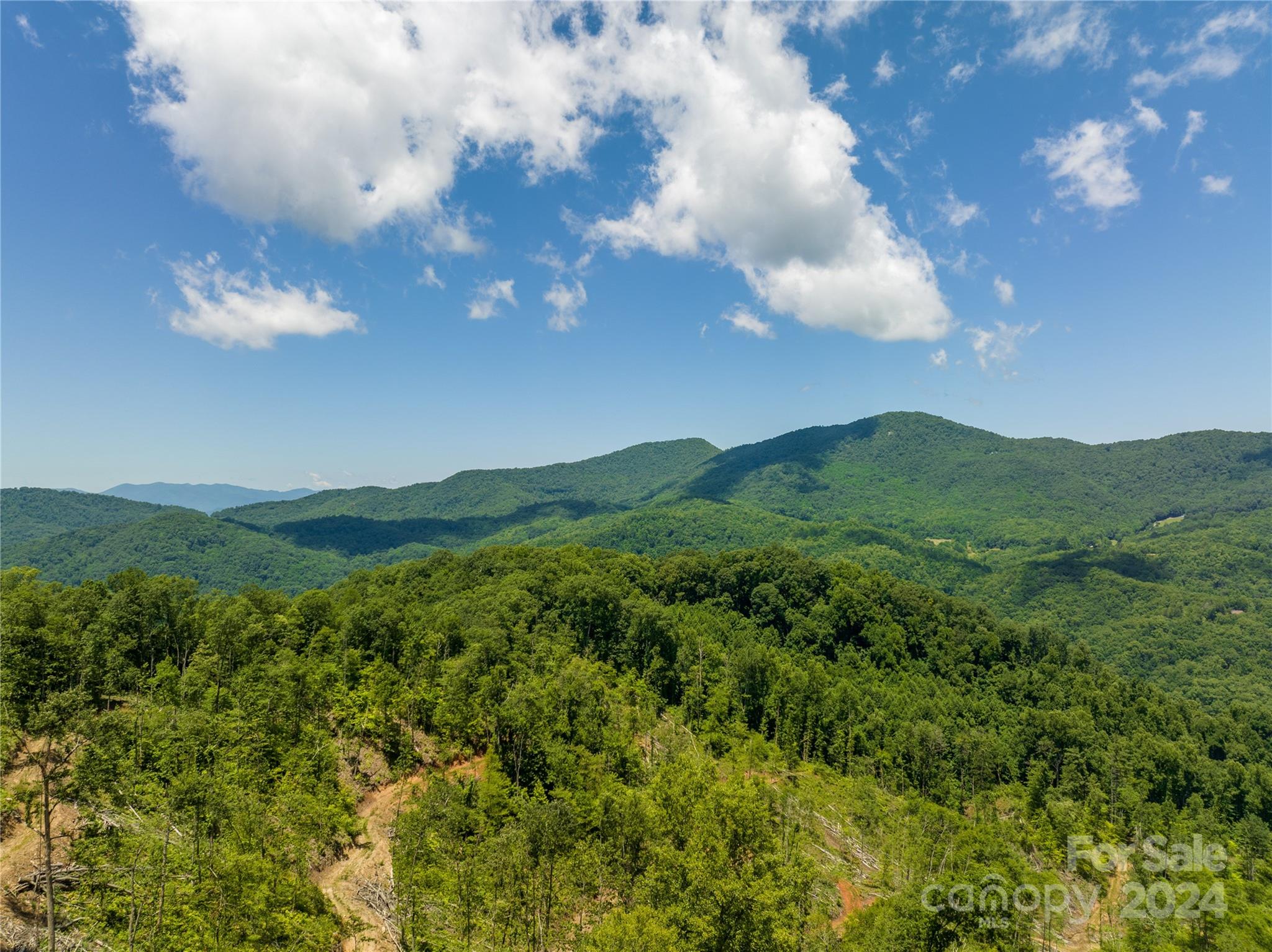 Tbd Ellijay Road Franklin, NC 28734 - Photo 1 of 22 a view of a green field with lots of trees