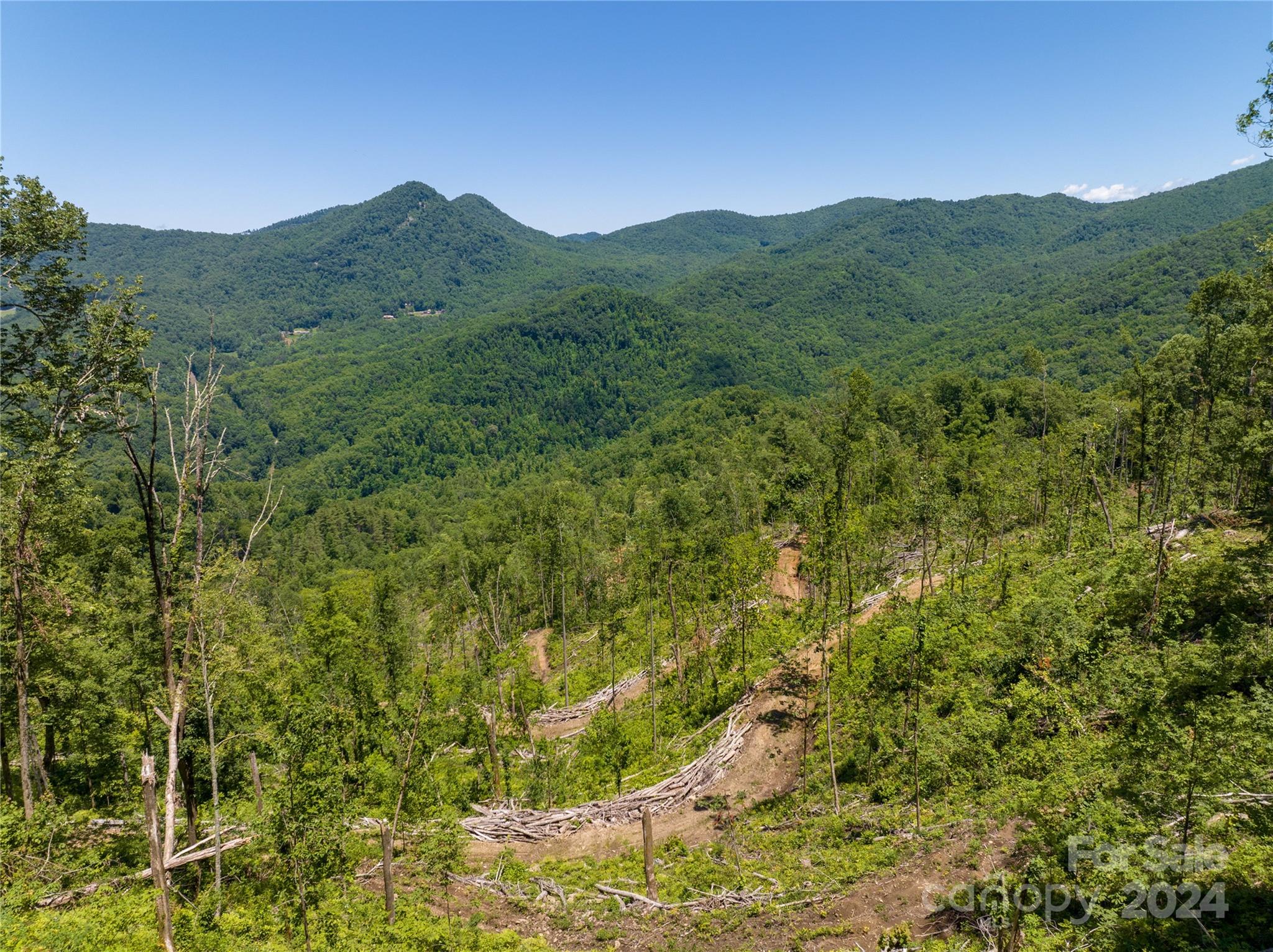 Tbd Ellijay Road Franklin, NC 28734 - Photo 16 of 22 a view of a lush green forest with trees in the background