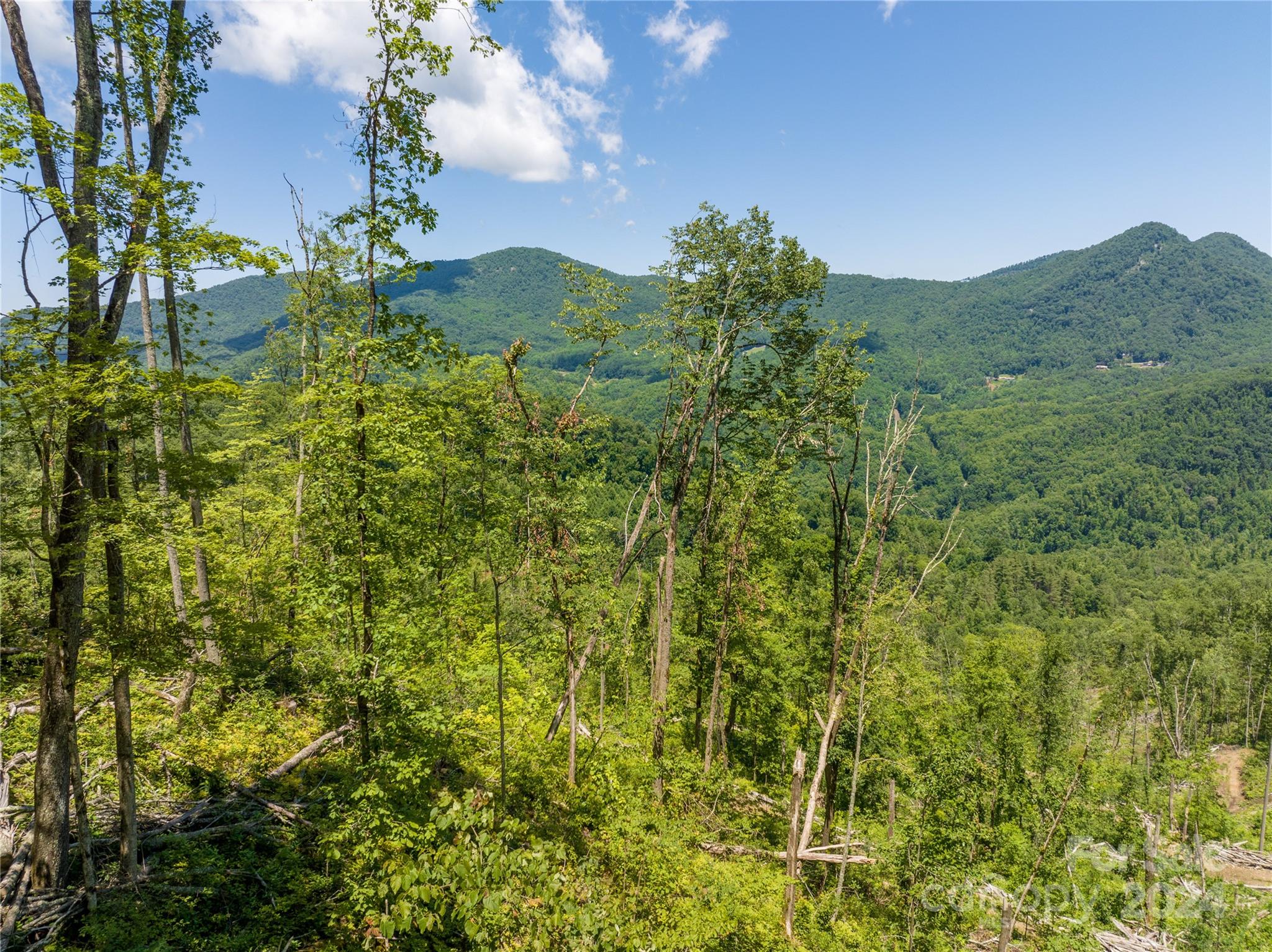 Tbd Ellijay Road Franklin, NC 28734 - Photo 18 of 22 a view of a lake with a mountain