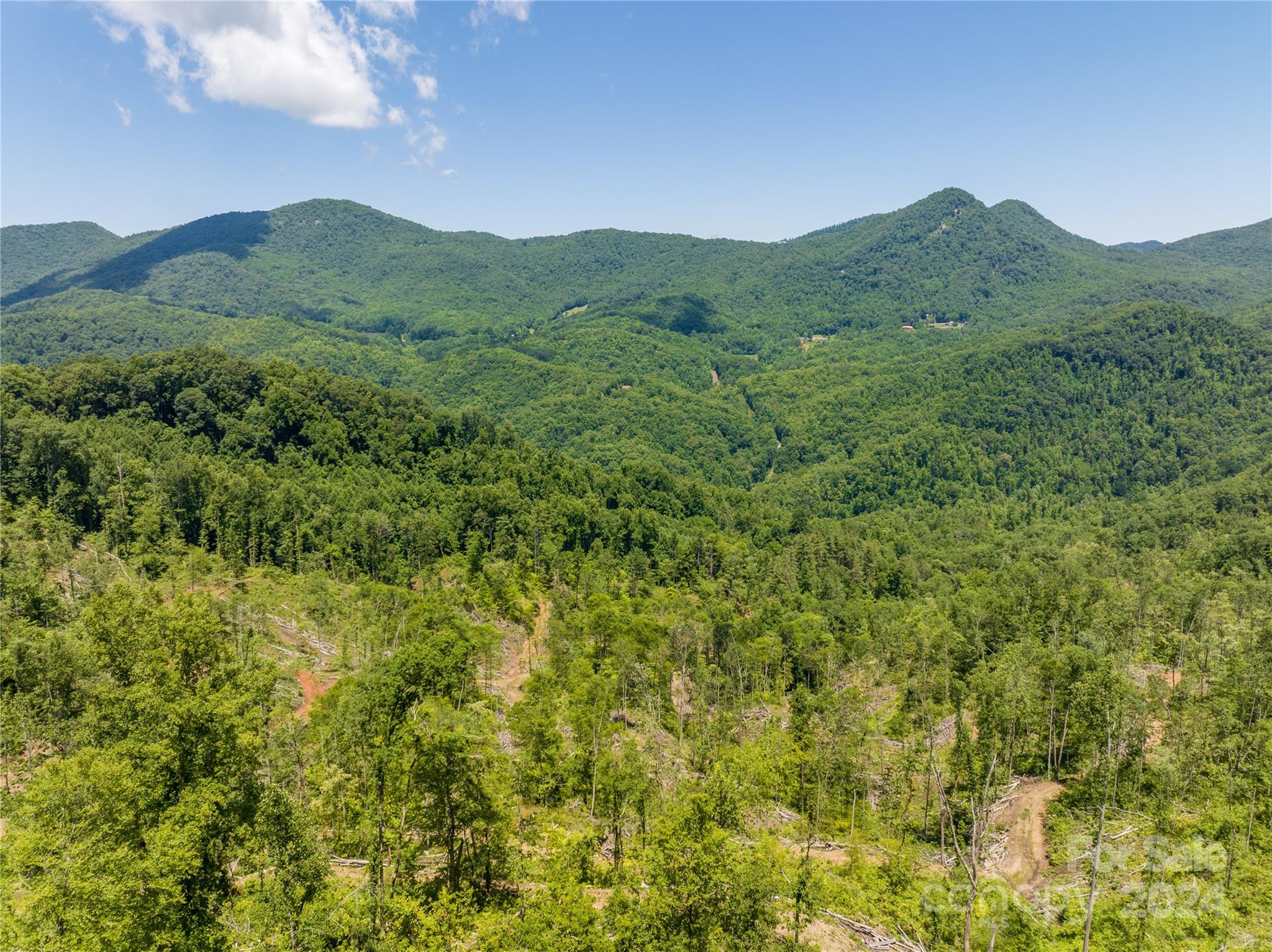 Tbd Ellijay Road Franklin, NC 28734 - Photo 19 of 22 a view of a mountain range with lush green forest