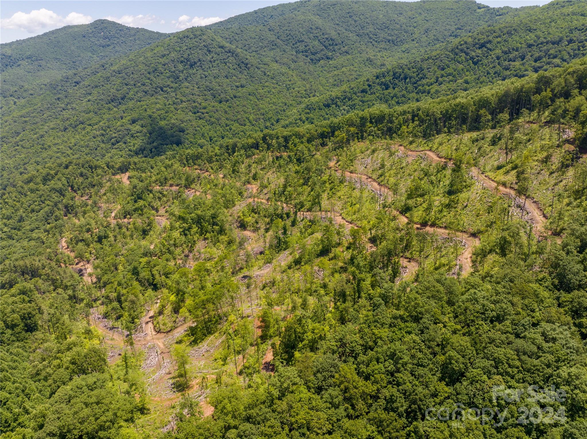 Tbd Ellijay Road Franklin, NC 28734 - Photo 20 of 22 a view of a forest with a street