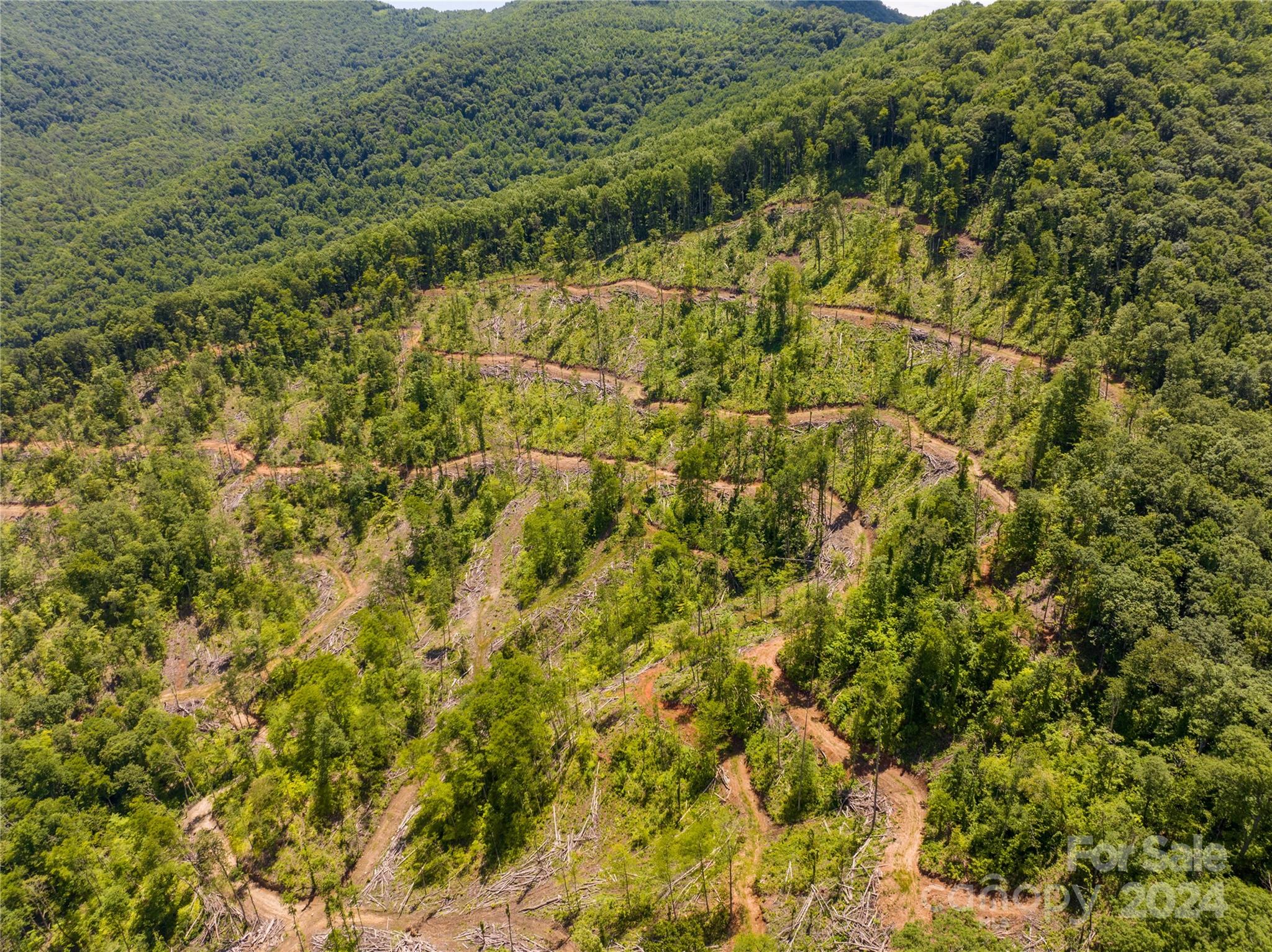 Tbd Ellijay Road Franklin, NC 28734 - Photo 21 of 22