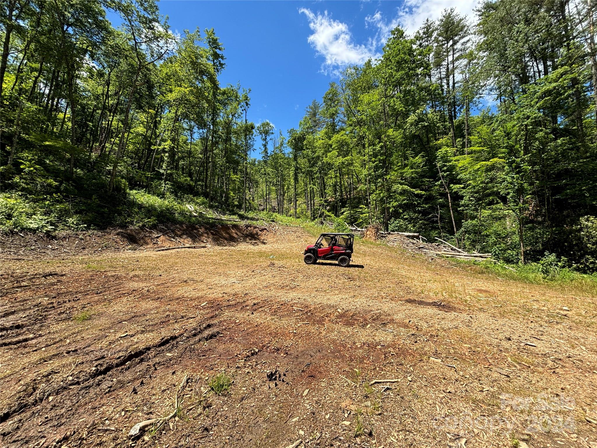 Tbd Ellijay Road Franklin, NC 28734 - Photo 3 of 22 a view of a backyard of the house