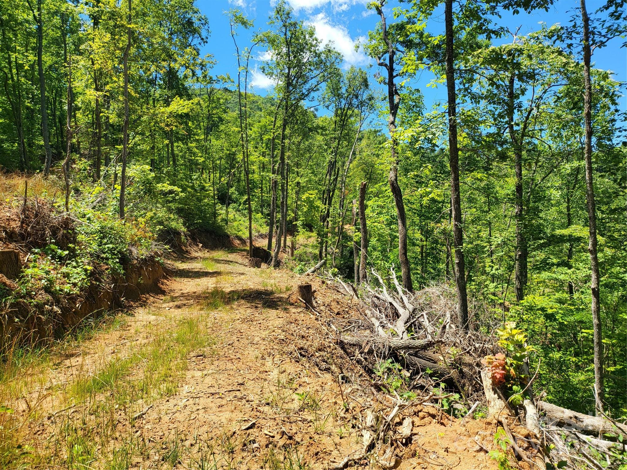 Tbd Ellijay Road Franklin, NC 28734 - Photo 6 of 22 a view of a yard with trees
