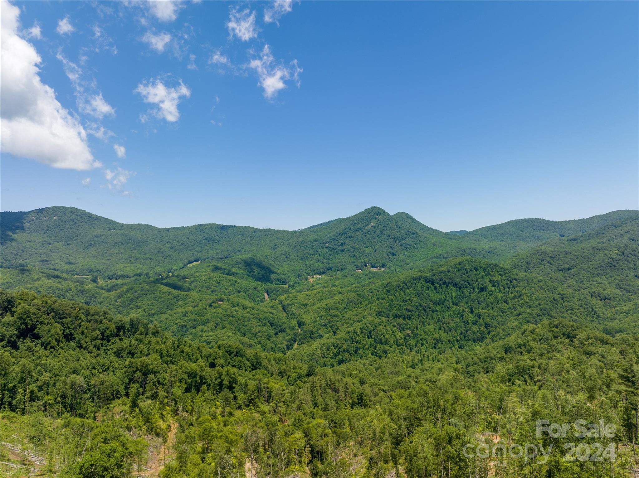 Tbd Ellijay Road Franklin, NC 28734 - Photo 8 of 22 a view of a mountain range with lush green forest