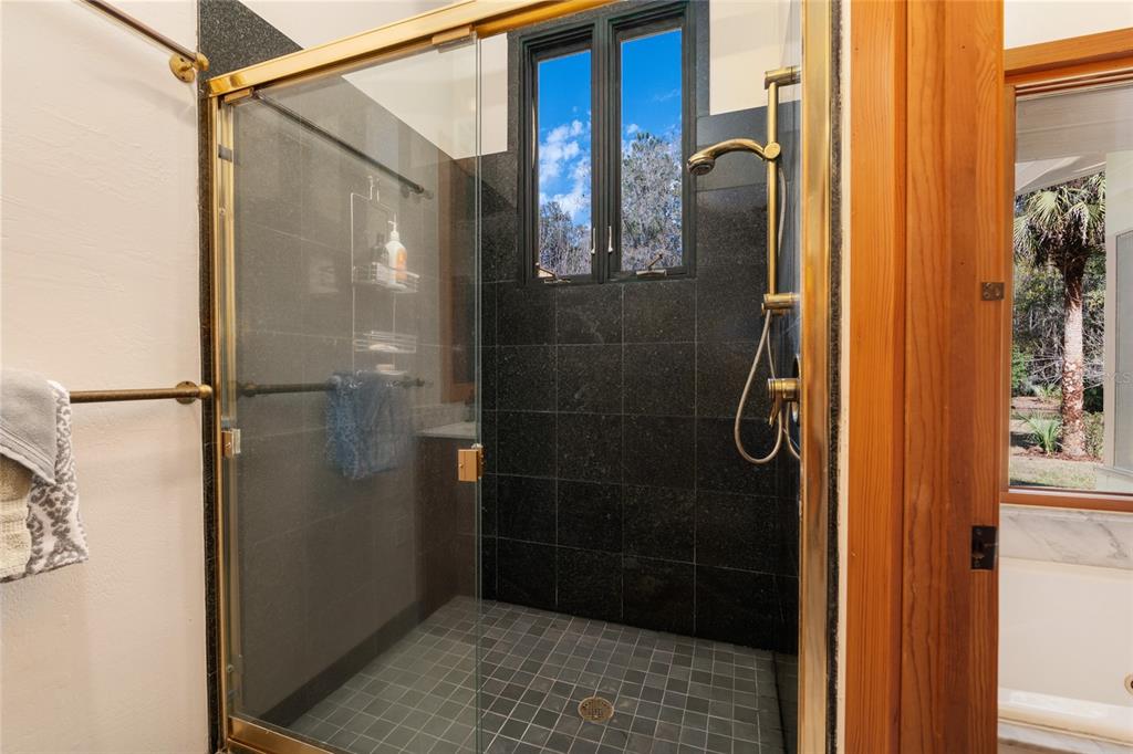 21736 Northwest 75th Avenue Road Micanopy, FL 32667 - Photo 46 of 88 a bathroom with a glass shower door