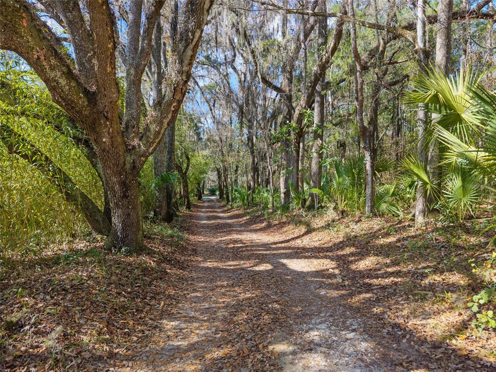 21736 Northwest 75th Avenue Road Micanopy, FL 32667 - Photo 7 of 88