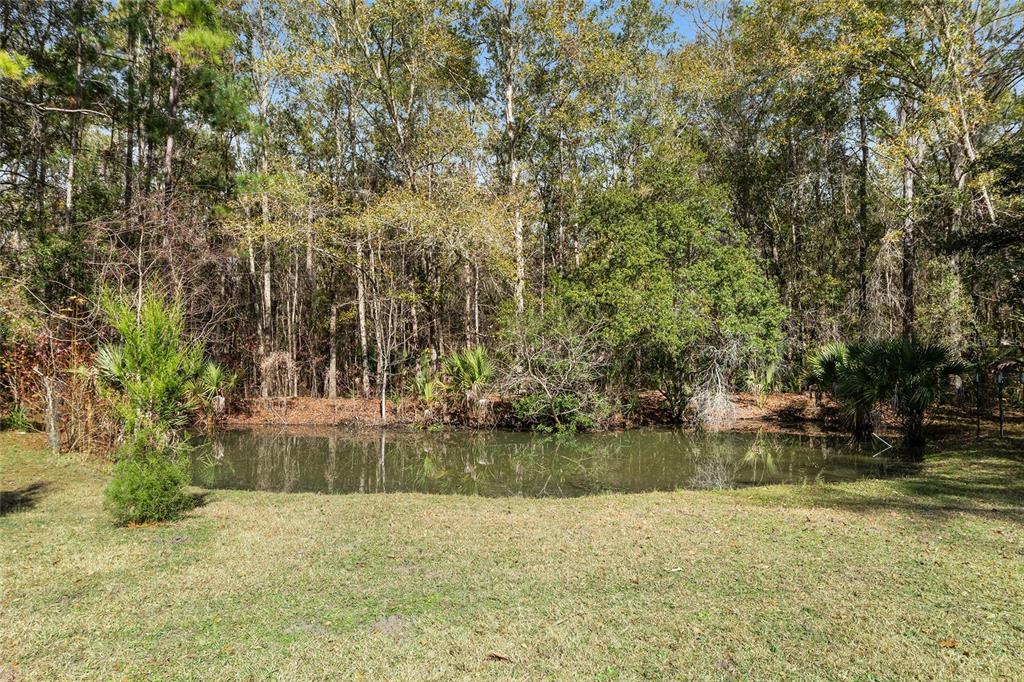 21736 Northwest 75th Avenue Road Micanopy, FL 32667 - Photo 79 of 88