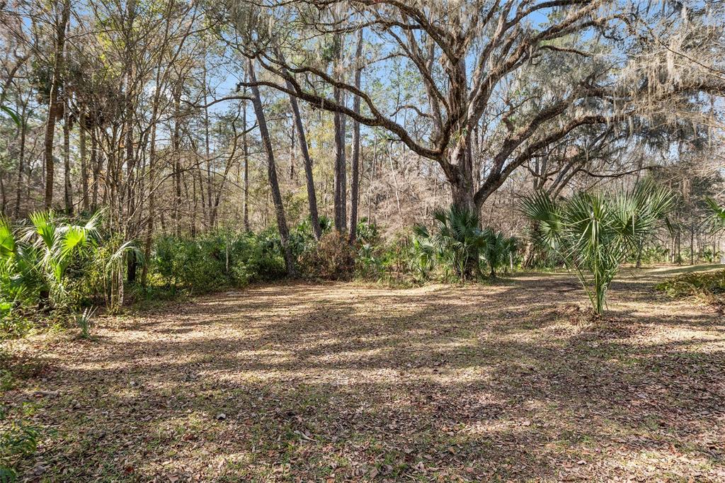 21736 Northwest 75th Avenue Road Micanopy, FL 32667 - Photo 80 of 88 a backyard of a house with lots of green space