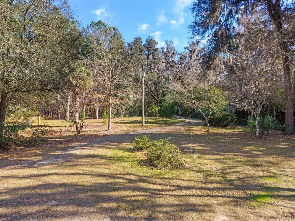 21736 Northwest 75th Avenue Road Micanopy, FL 32667 - Photo 83 of 88 a view of a yard with palm trees