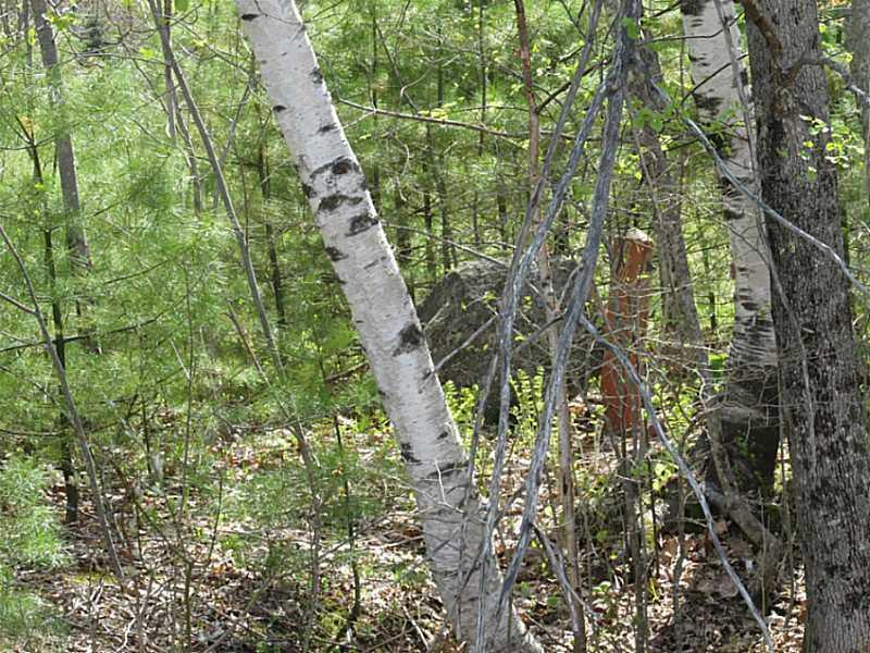 124 Hawk Mountain Road Waterford, ME 04088 - Photo 7 of 7 Land.