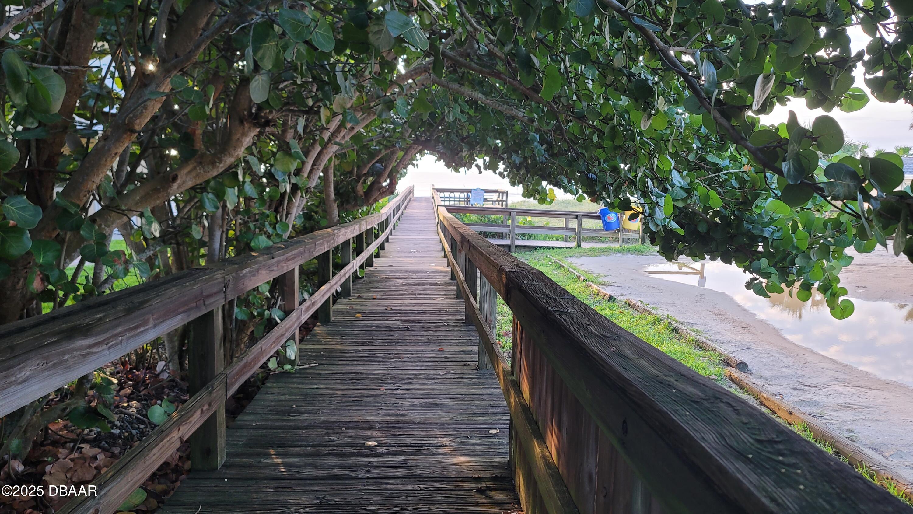 64 Alberta Avenue Ponce Inlet, FL 32127 - Photo 49 of 60 64_alberta_ave_ponce_inlet (24)