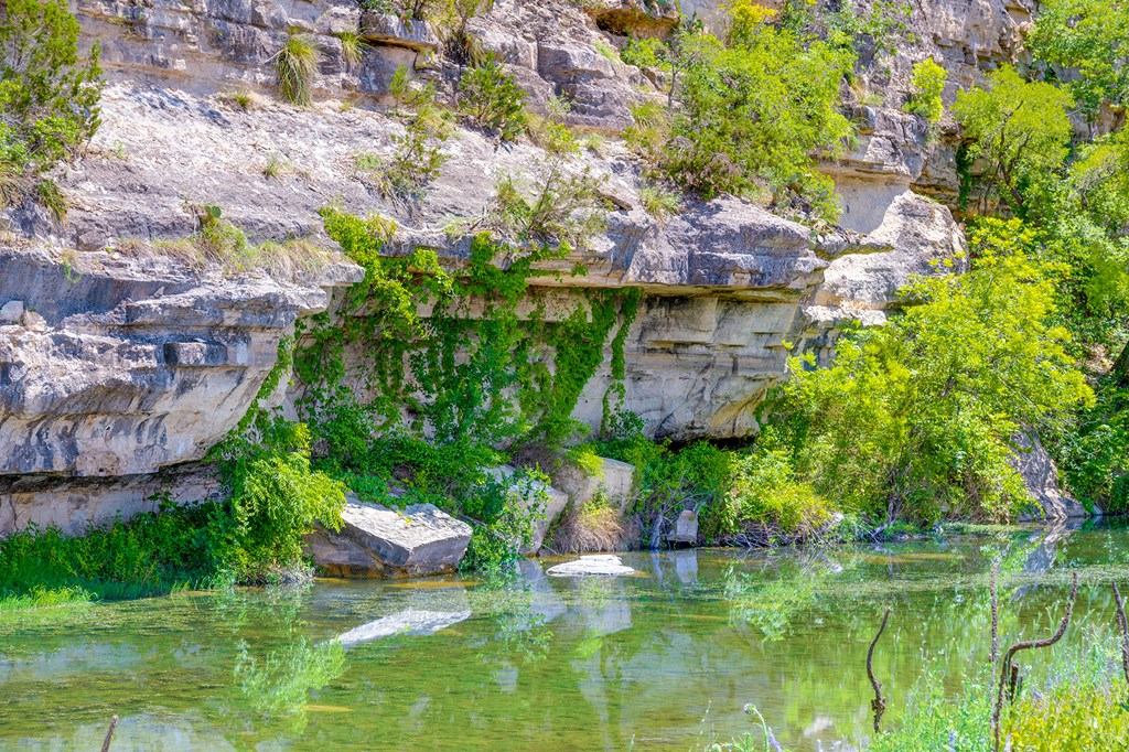 37 South Ranch Road 783 Harper, TX 78631 - Photo 3 of 19 a backyard of a house with a yard and outdoor seating