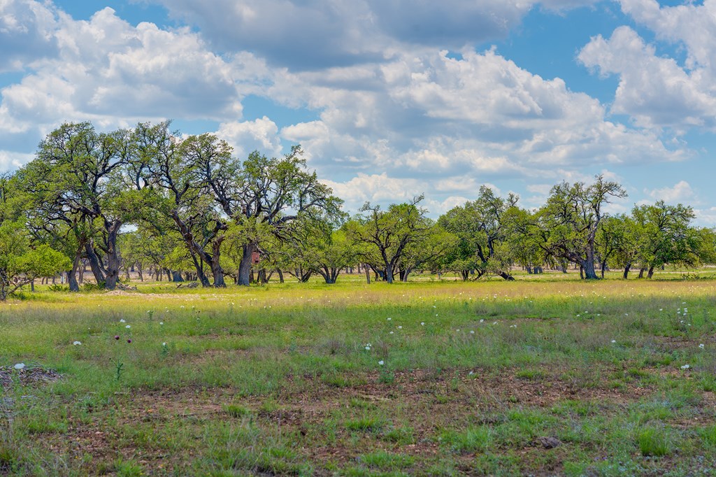 37 South Ranch Road 783 Harper, TX 78631 - Photo 5 of 19 a view of an outdoor space and yard