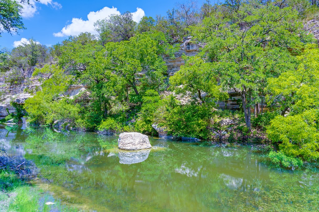 37 South Ranch Road 783 Harper, TX 78631 - Photo 6 of 19 a view of a back yard