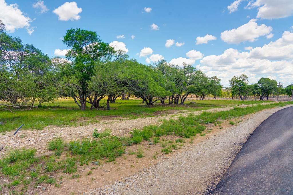 37 South Ranch Road 783 Harper, TX 78631 - Photo 7 of 19 a view of a garden with a fountain