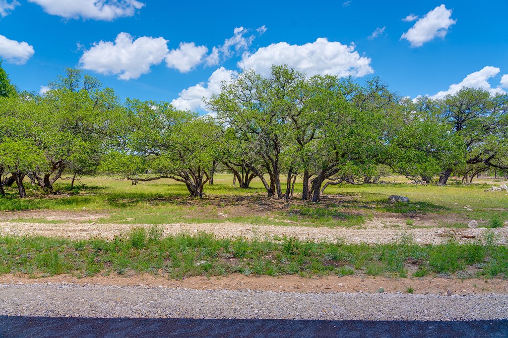37 South Ranch Road 783 Harper, TX 78631 - Photo 8 of 19 a view of a golf course with a yard