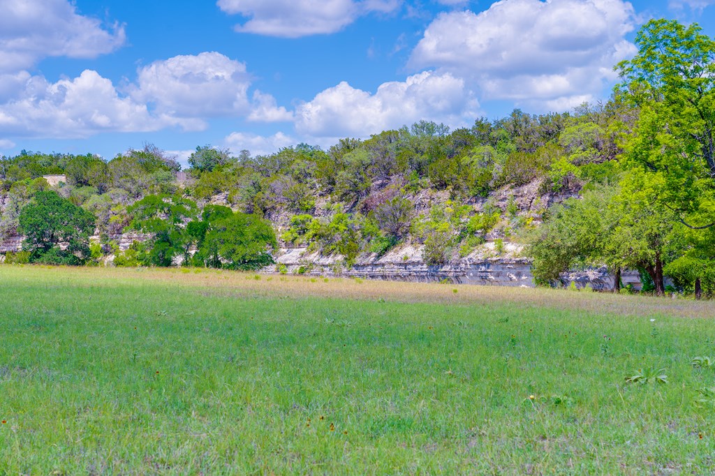 37 South Ranch Road 783 Harper, TX 78631 - Photo 9 of 19 a view of a yard
