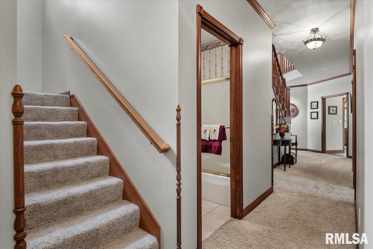 49 Woodland Trail Rochester, IL 62563 - Photo 31 of 98